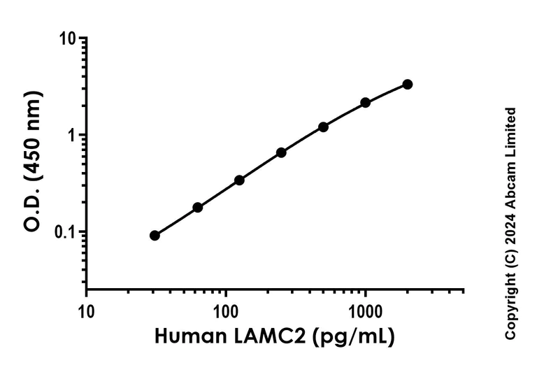Sandwich ELISA - Recombinant Human LAMC2 Protein Standard (His tag) (AB316641)