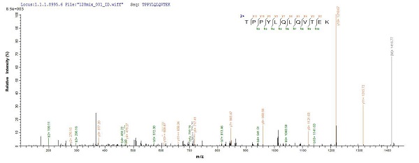 Mass Spectrometry - Recombinant Human Laminin alpha 5/LAMA5 protein (Tagged) (AB235807)
