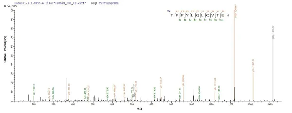Mass Spectrometry - Recombinant Human Laminin alpha 5/LAMA5 protein (Tagged) (AB235807)
