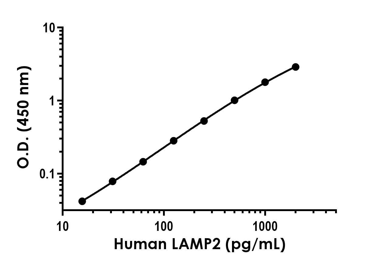 Sandwich ELISA - Recombinant Human LAMP2 Protein Standard (AB316534)