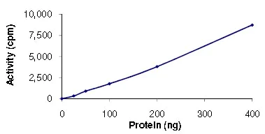 Functional Studies - Recombinant human LATS1/WARTS protein (AB125612)