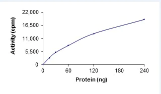 Functional Studies - Recombinant human LATS1/WARTS protein (AB125612)
