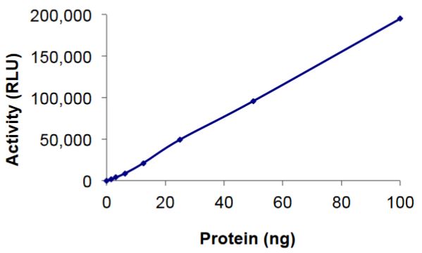 Functional Studies - Recombinant human LATS2 protein (Active) (AB268721)