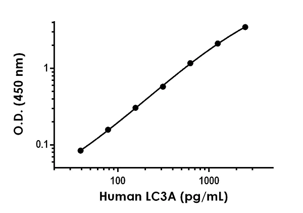 Sandwich ELISA - Recombinant Human LC3A Protein Standard (His tag) (AB316735)