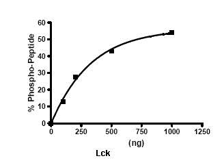 Functional Studies - Recombinant human Lck protein (GST tag N-Terminus) (AB79626)