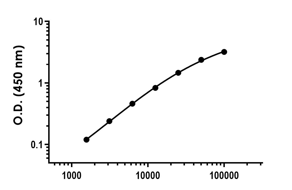Sandwich ELISA - Recombinant Human LDLR Protein Standard (His tag) (AB316419)