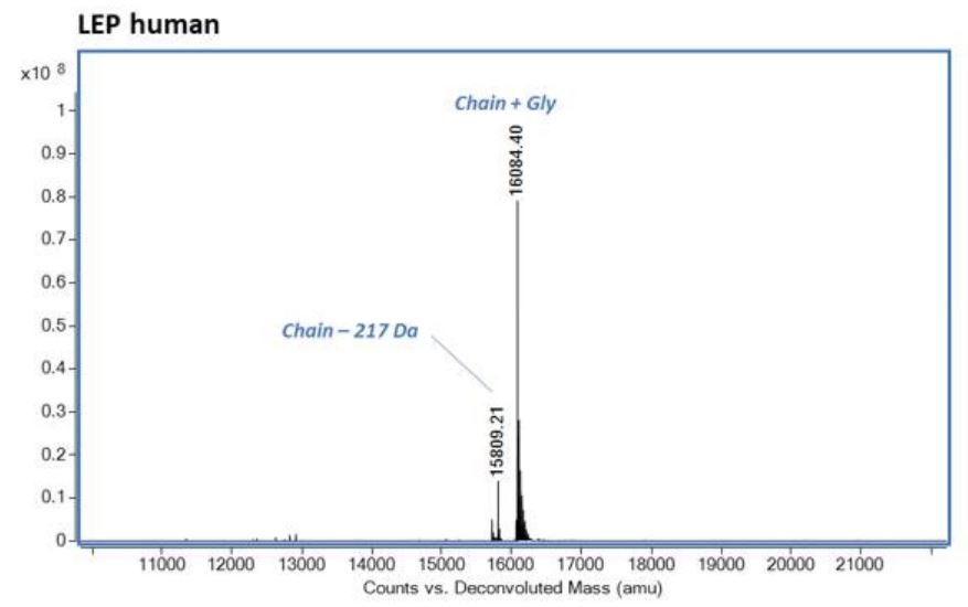 Mass Spectrometry - Recombinant Human Leptin protein (AB281816)