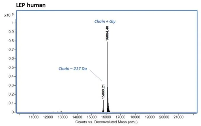 Mass Spectrometry - Recombinant Human Leptin protein (AB281816)