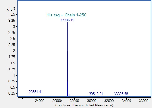 Mass Spectrometry - Recombinant Human LGALS3 Protein (His-tag) (AB317869)