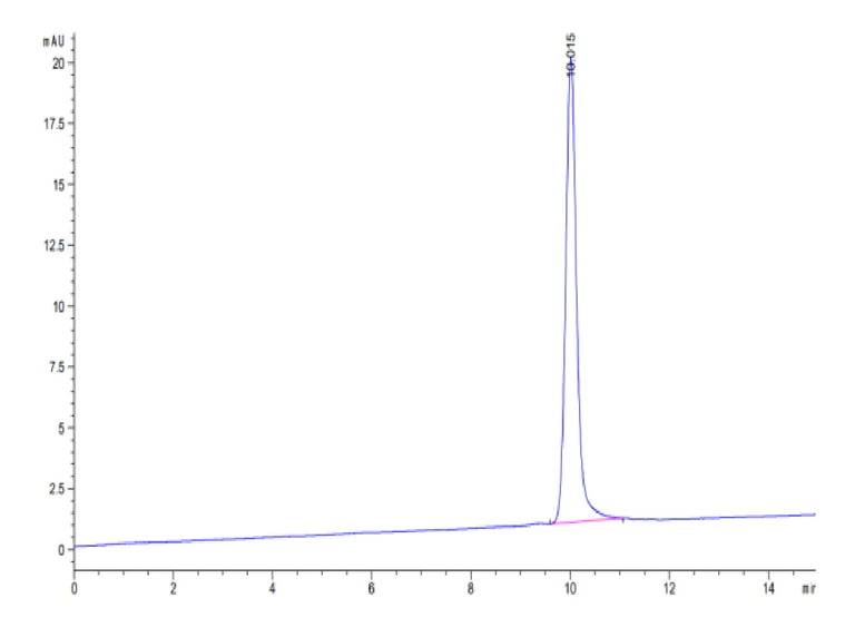 HPLC - Recombinant Human LIF (Active) protein (AB316046)