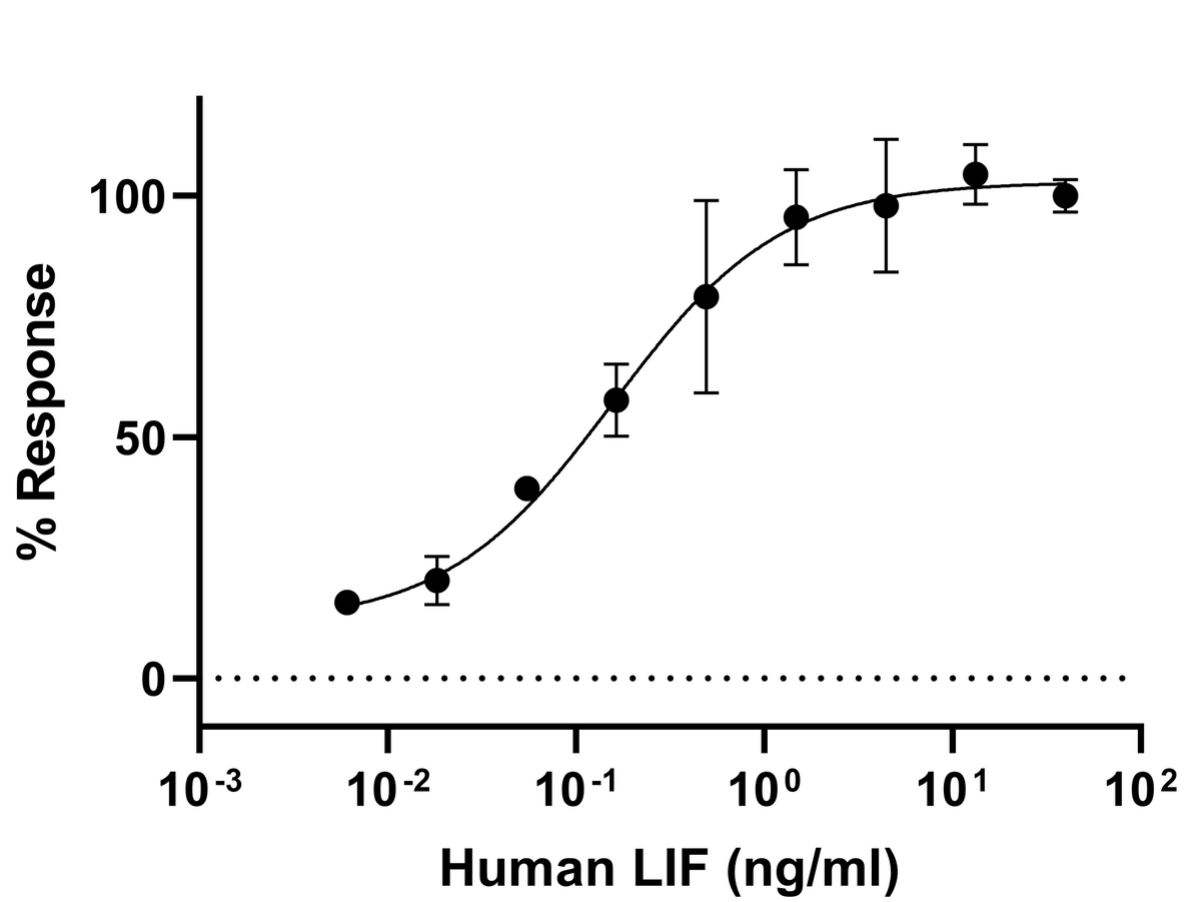 Functional Studies - Recombinant Human LIF protein (Active) (AB287941), expandable thumbnail