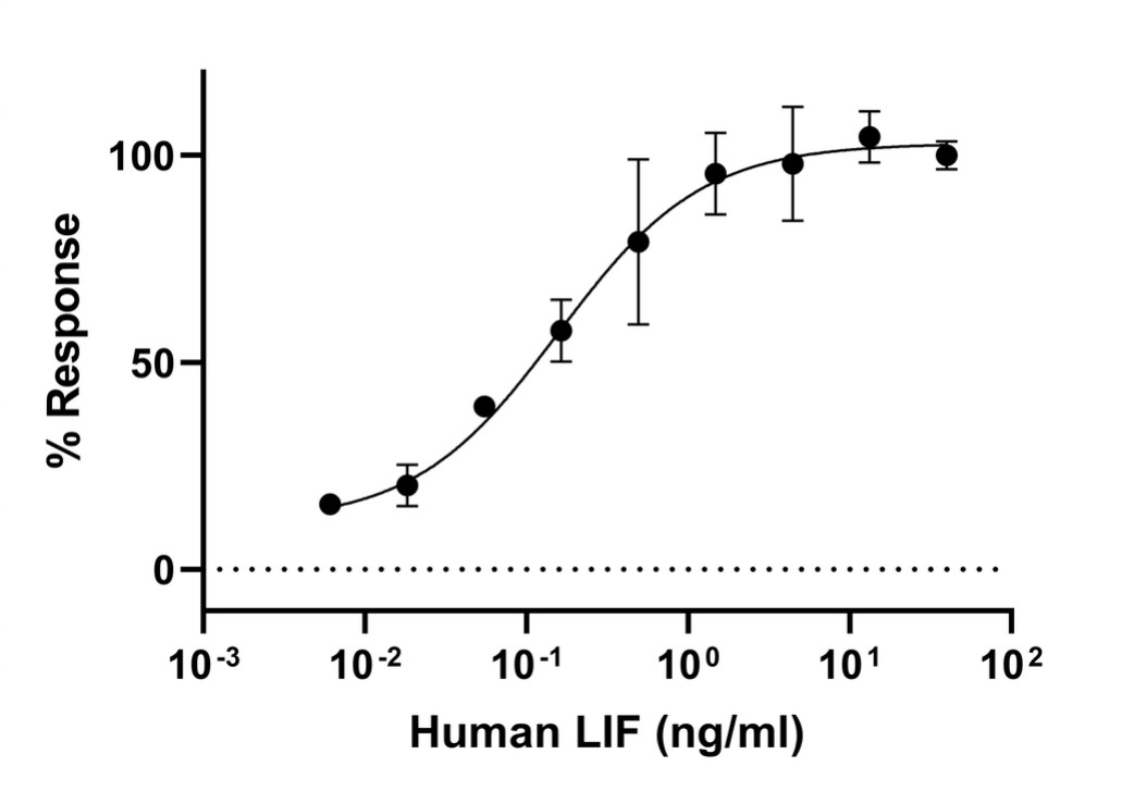 Functional Studies - Recombinant Human LIF protein (Active) (AB287941), expandable thumbnail