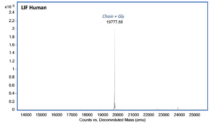 Mass Spectrometry - Recombinant Human LIF protein (Active) (AB287941), expandable thumbnail