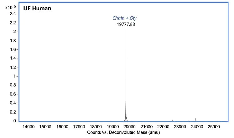 Mass Spectrometry - Recombinant Human LIF protein (Active) (AB287941)