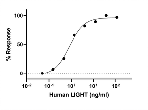 Biochemical assay - Recombinant Human LIGHT Protein (Active) (AB283905), expandable thumbnail
