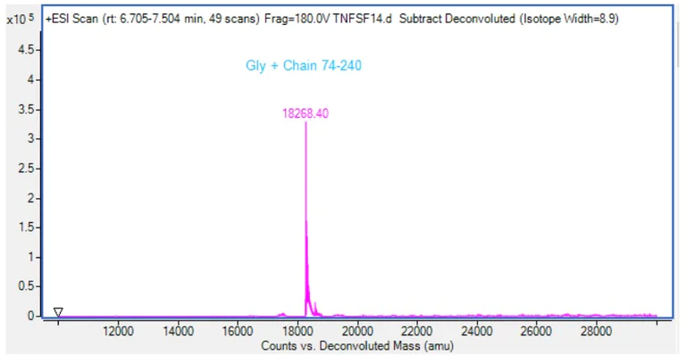 Mass Spectrometry - Recombinant Human LIGHT Protein (Active) (AB283905)