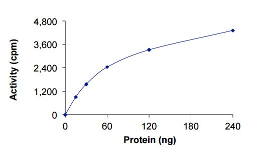 Functional Studies - Recombinant human LIMK2 protein (AB207944)