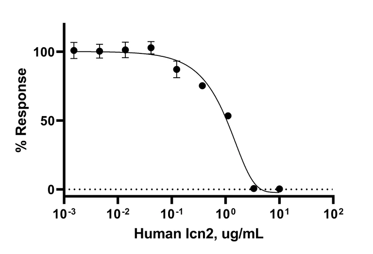Functional Studies - Recombinant human Lipocalin-2 / NGAL protein (Active) (AB282398)