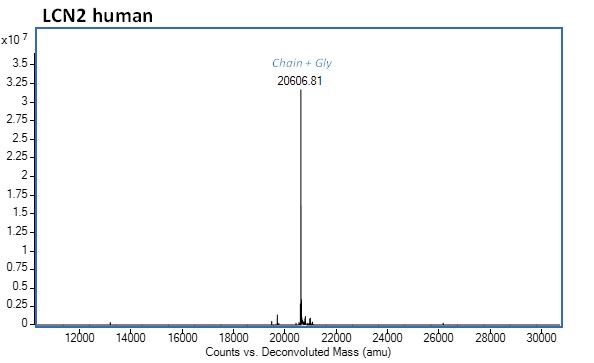 Mass Spectrometry - Recombinant human Lipocalin-2 / NGAL protein (Active) (AB282398)
