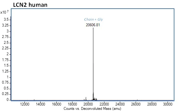Mass Spectrometry - Recombinant human Lipocalin-2 / NGAL protein (Active) (AB282398)