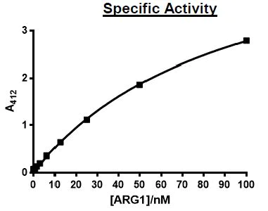 Functional Studies - Recombinant human Liver Arginase protein (Active) (AB271366)