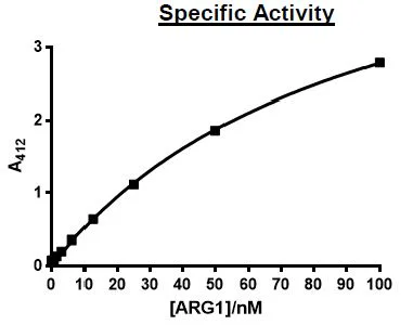 Functional Studies - Recombinant human Liver Arginase protein (Active) (His tag C-Terminus) (AB271366)
