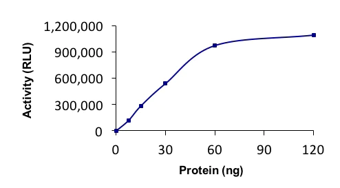 Functional Studies - Recombinant human Livin protein (Active) (AB268367)