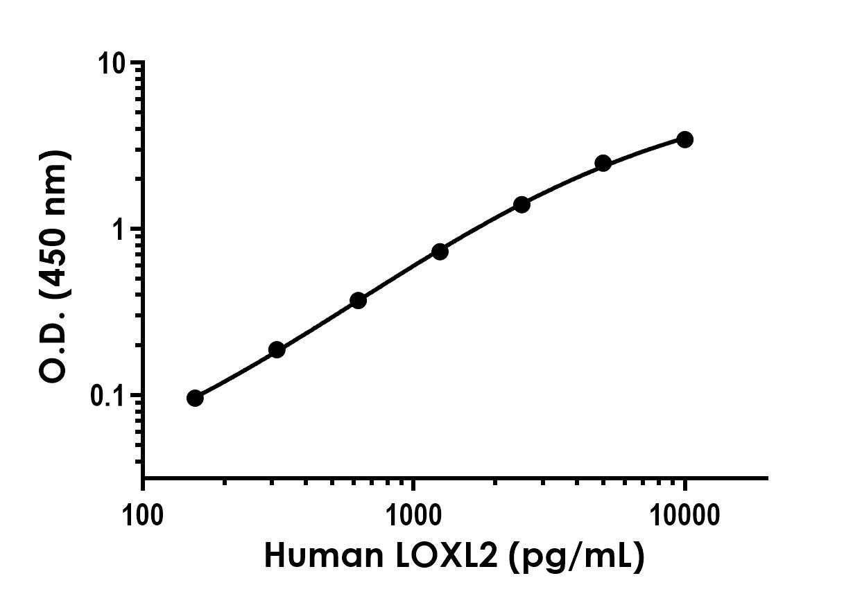 Sandwich ELISA - Recombinant Human LOXL2 Protein Standard (His tag) (AB316539), expandable thumbnail