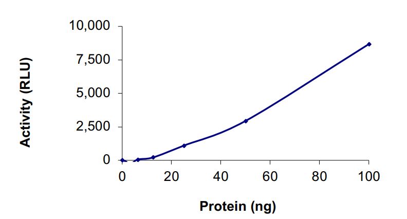 Recombinant human LRRK1 protein (Active)