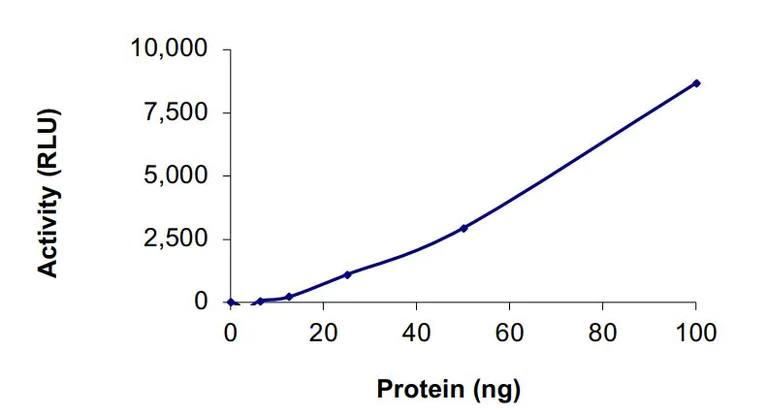Functional Studies - Recombinant human LRRK1 protein (Active) (AB268732)