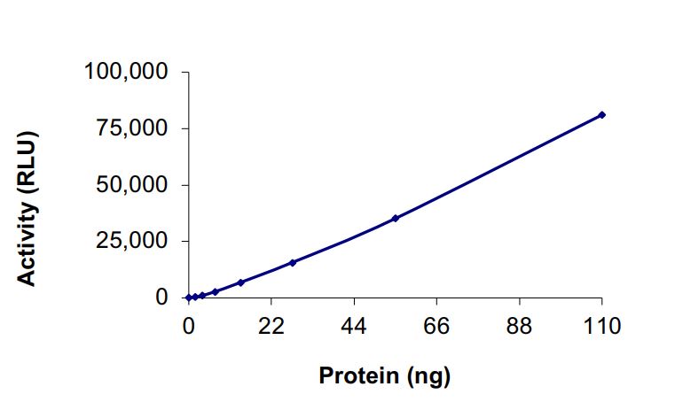 Functional Studies - Recombinant human LRRK2 (mutated G2019S) protein (Active) (AB268733), expandable thumbnail