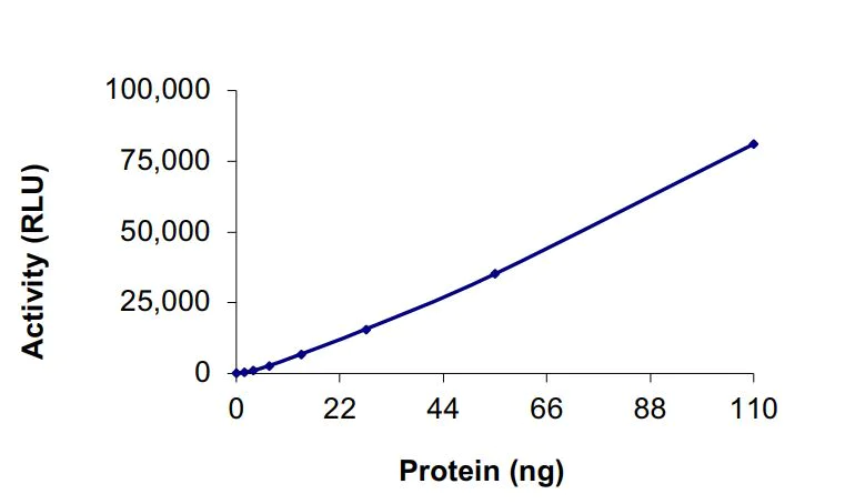 Functional Studies - Recombinant human LRRK2 (mutated G2019S) protein (Active) (AB268733)