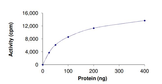 Recombinant human LRRK2 (mutated G2385R) protein (Active)