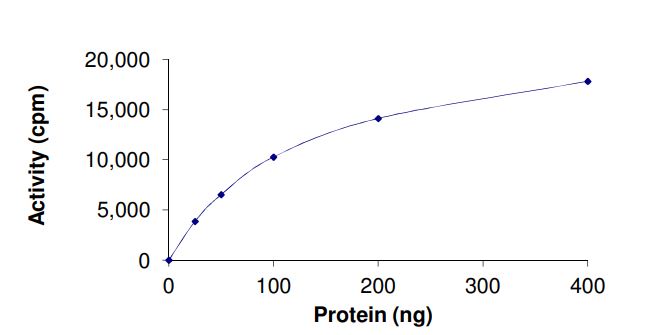 Recombinant human LRRK2 (mutated I2020T) protein (Active)