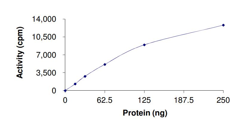 Recombinant human LRRK2 (mutated R1441C) protein (Active)