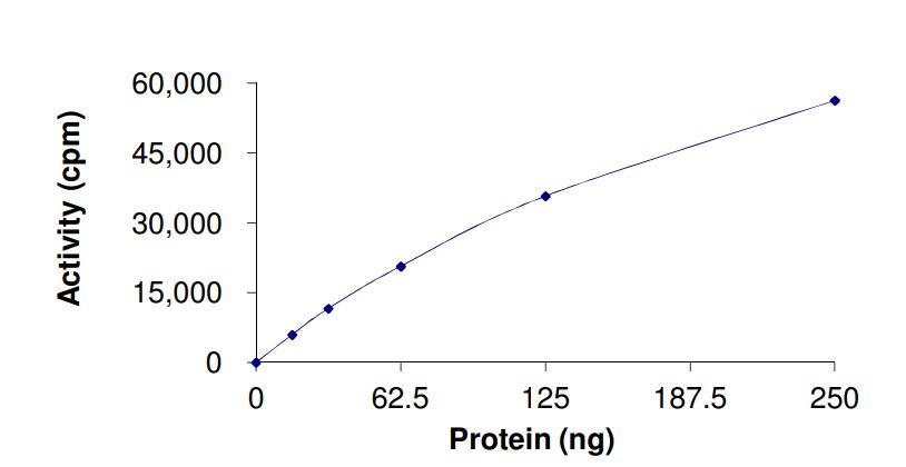 Recombinant human LRRK2 (mutated R1441H) protein (Active)