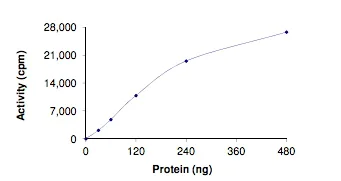 Functional Studies - Recombinant human LRRK2 (mutated Y1699G) protein (AB204089)