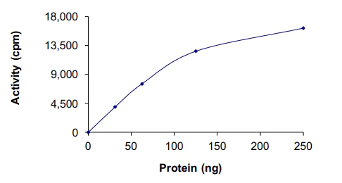 Functional Studies - Recombinant human LRRK2 protein (AB177261)