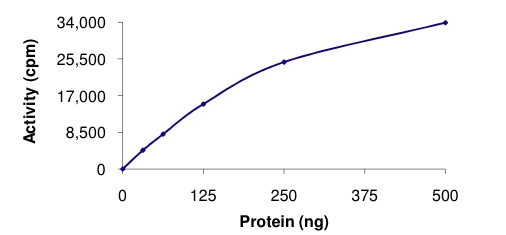 Functional Studies - Recombinant human LRRK2 protein (AB177261)