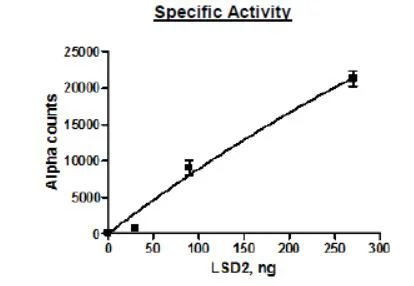 SDS-PAGE - Recombinant human LSD2 / AOF1 protein (Active) (GST N-Terminus + TEV N-Terminus) (AB271603)