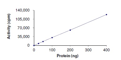 Functional Studies - Recombinant human LTK protein (AB179494)