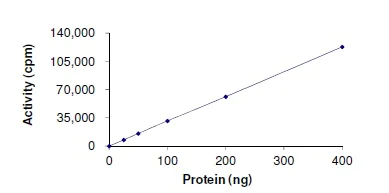 Functional Studies - Recombinant human LTK protein (AB179494)