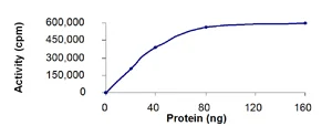 Functional Studies - Recombinant human Lyn protein (AB70789)