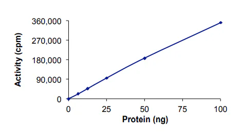 Functional Studies - Recombinant human Lyn protein (GST tag N-Terminus) (AB70789)