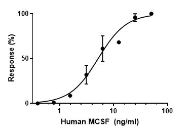 Functional Studies - Recombinant human M-CSF protein (Active) (AB259396)