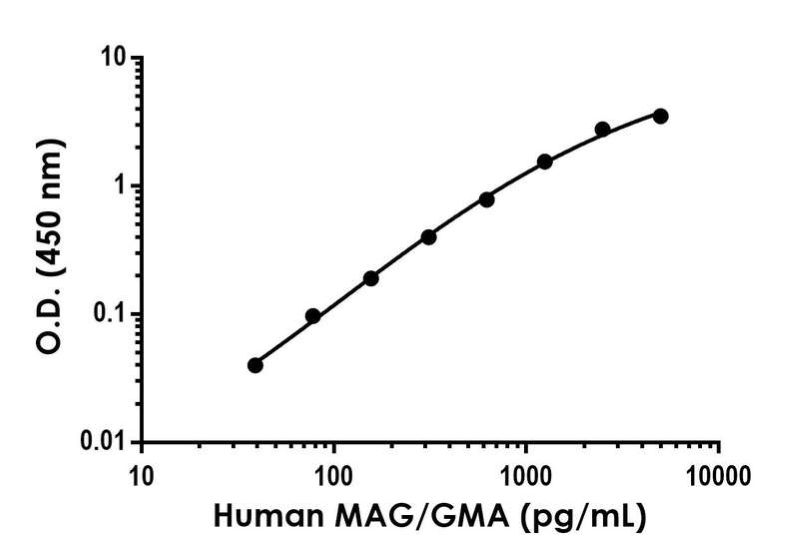 Sandwich ELISA - Recombinant Human MAG/GMA Protein Standard (His tag) (AB316493)