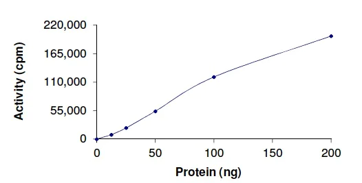 Functional Studies - Recombinant human MAK protein (AB190407)
