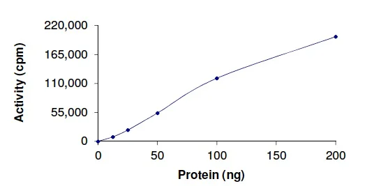 Functional Studies - Recombinant human MAK protein (AB190407)