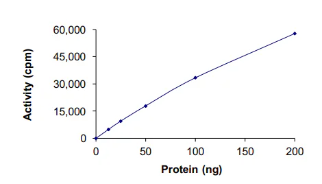 Functional Studies - Recombinant human MAK protein (AB190407)