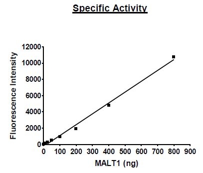 Functional Studies - Recombinant human MALT1/MLT protein (Active) (AB271604)